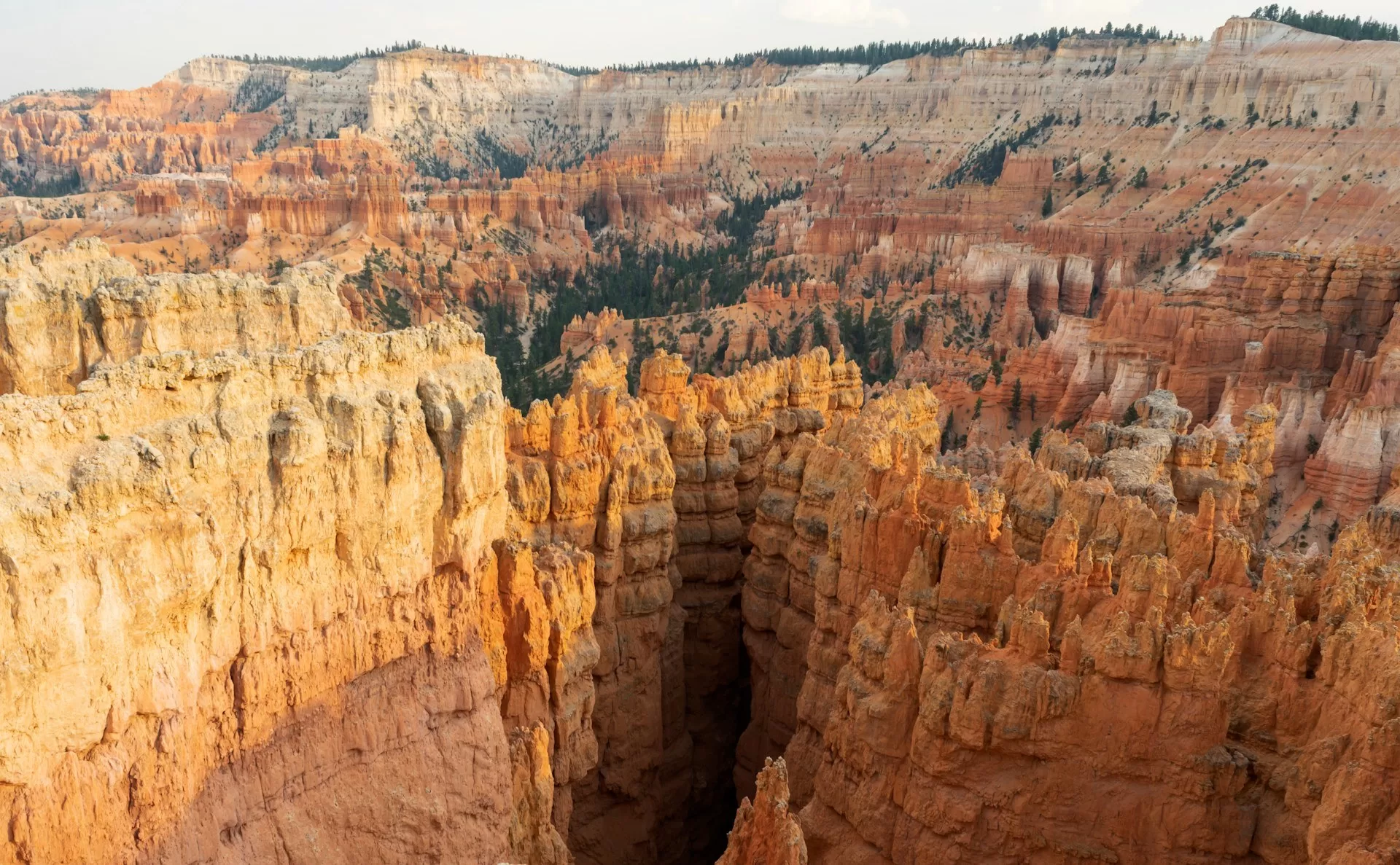 Het Paunsaugunt Plateau in Bryce Canyon National Park Utah