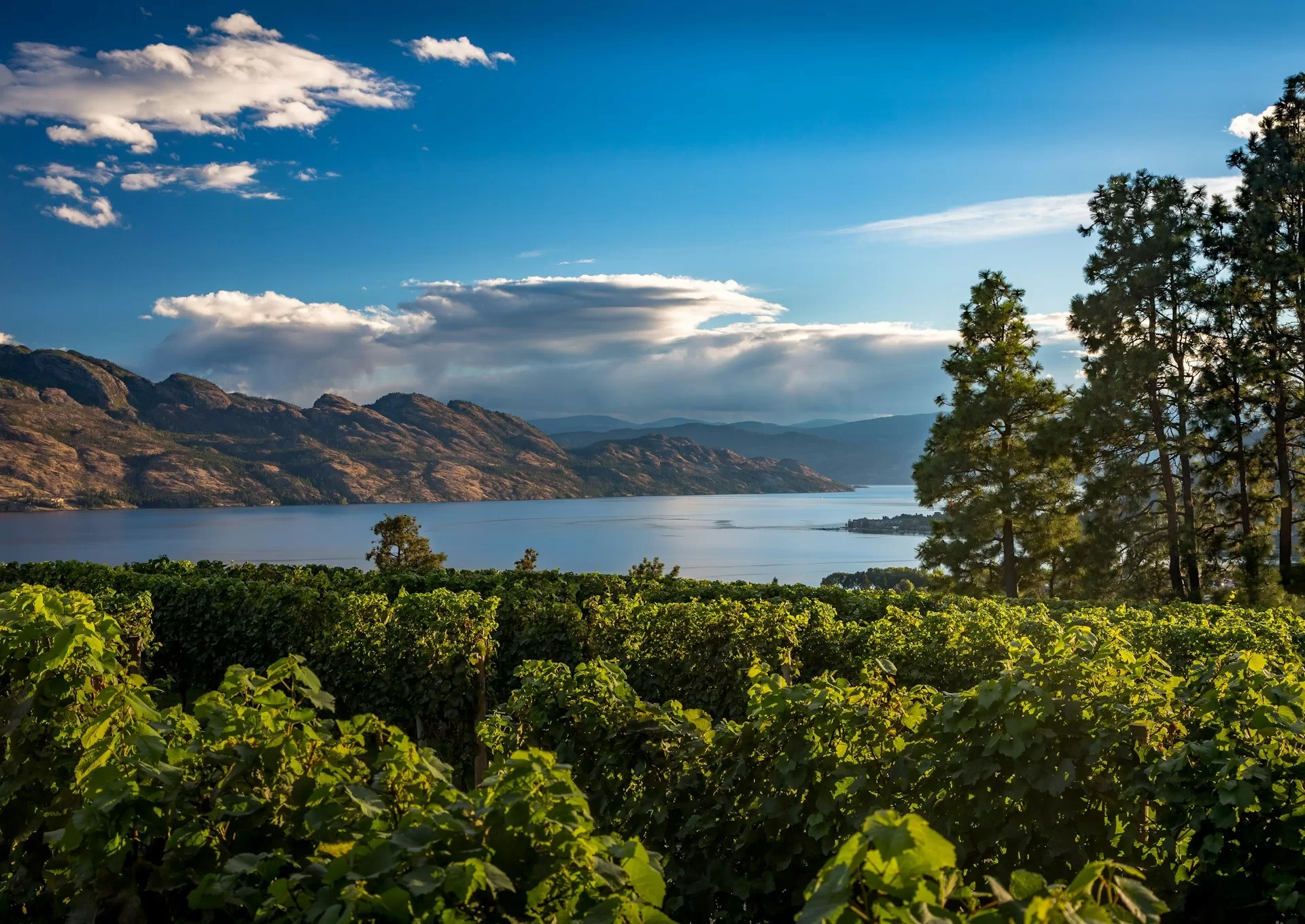 Uitzicht over het meer in West Kelowna Canada
