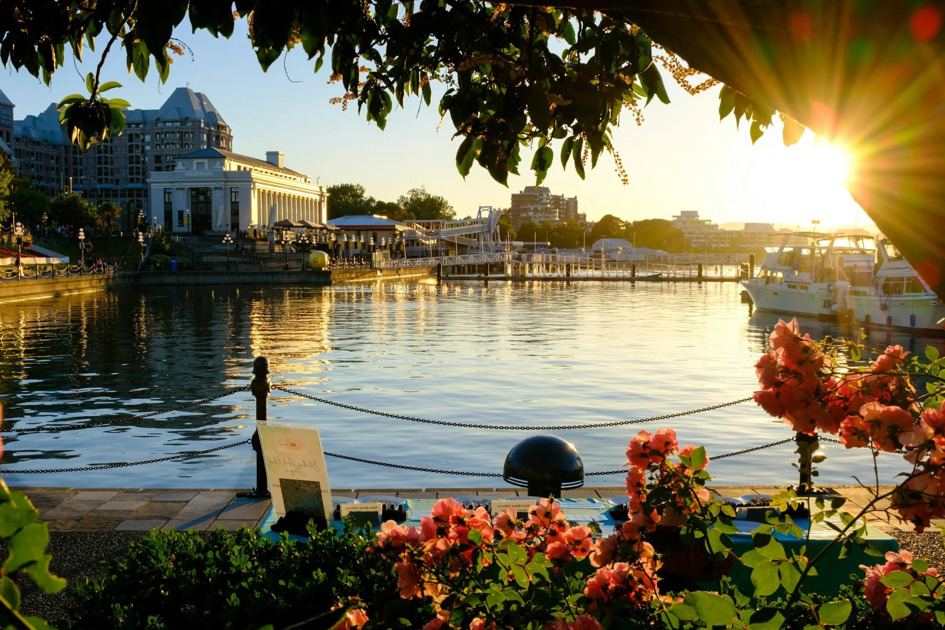 Blick über den Victoria-Harbor bei Sonnenuntergang