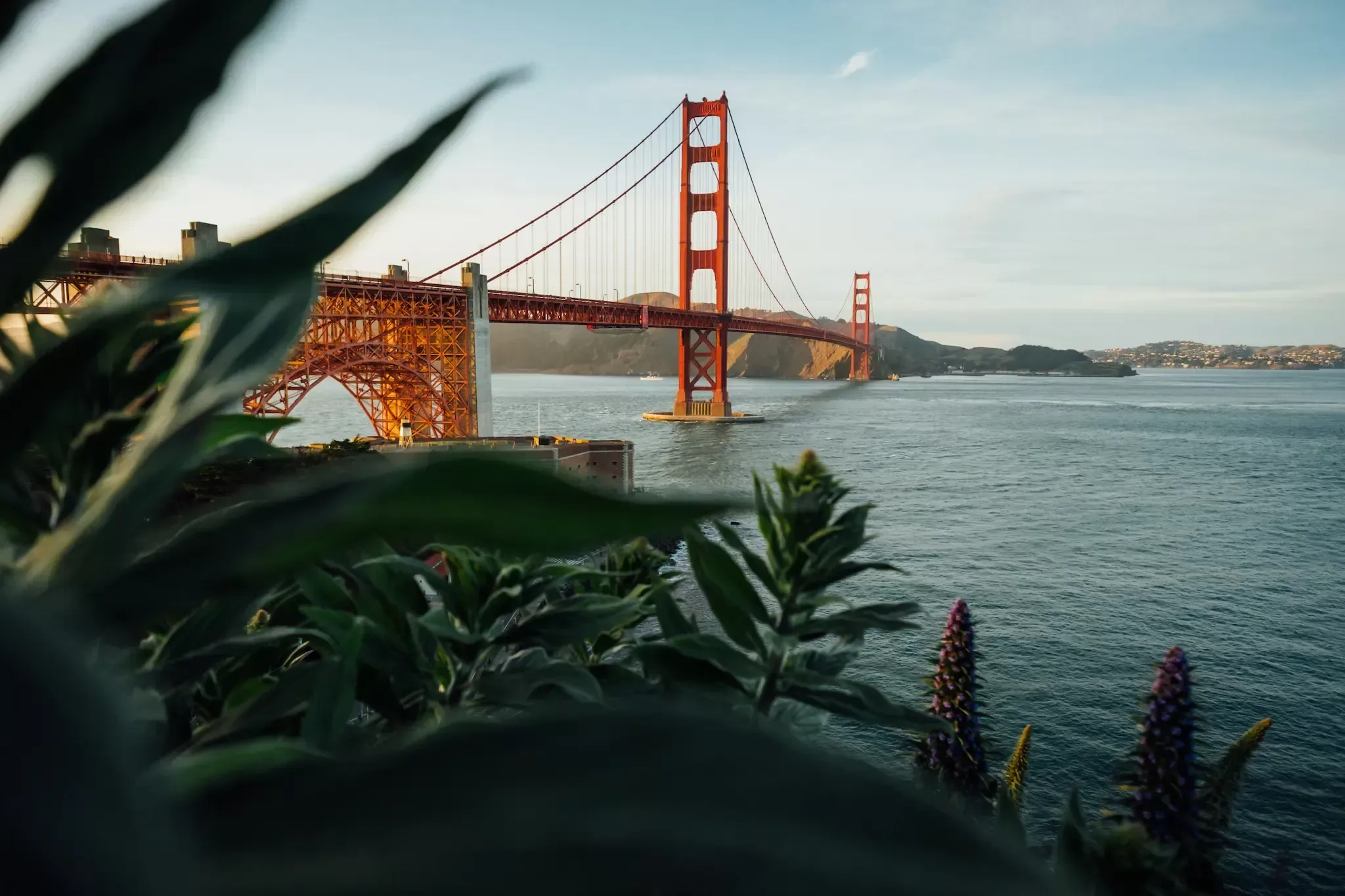 De Golden Gate Bridge in San Francisco met groene bladeren op de voorgrond